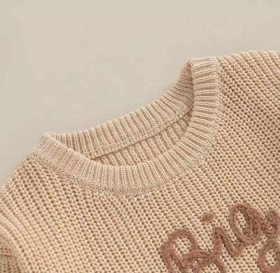 Big Bro Lil Bro Jumper