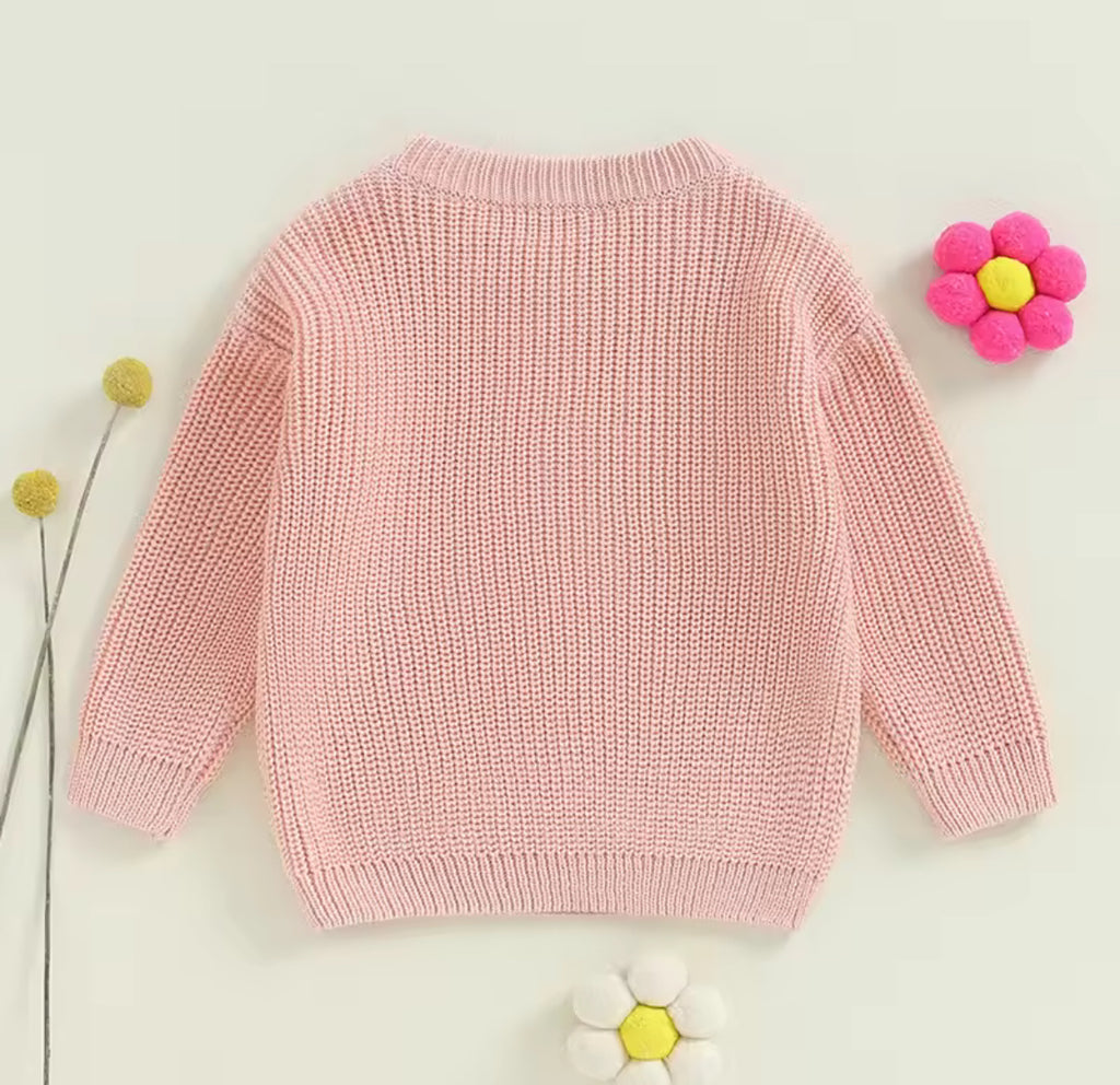 Big Sister Lil Sister Jumper